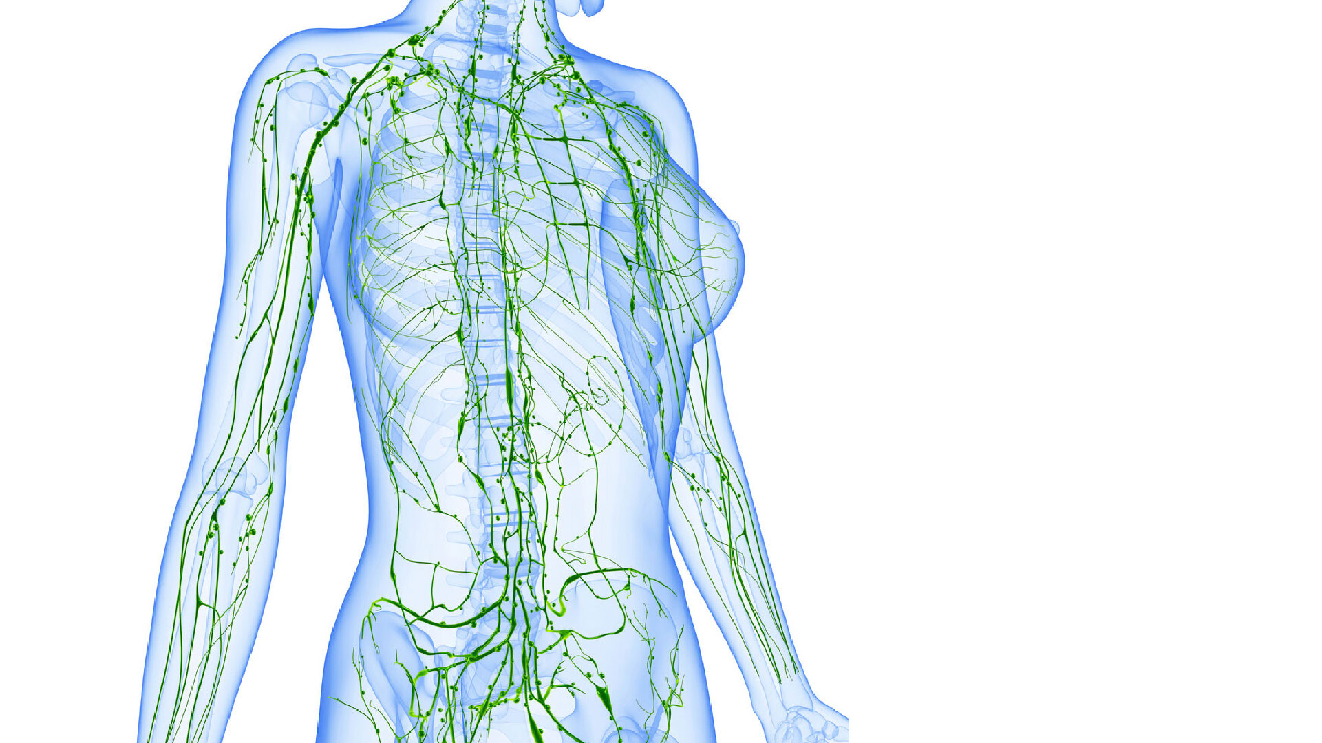 Manual Lymphatic Drainage Course (MLD-C)